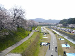 会場が広い！広すぎる！！！