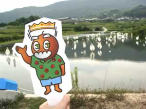 豊島の気配