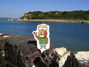 海がきれい