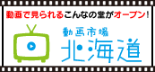動画市場　北海道