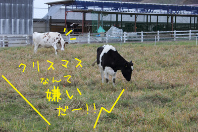 クリスマスなんて嫌いだー