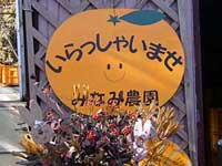 みなみ農園さん