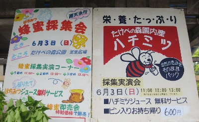 蜂蜜採集会