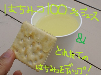 とれたてのはちみつをディップ