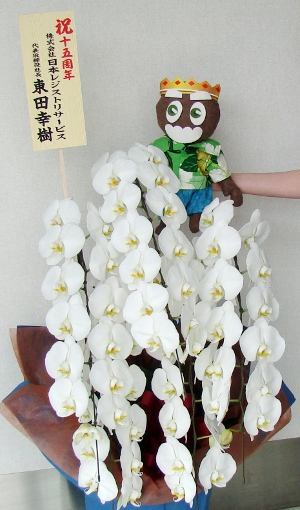 お花をいただきました
