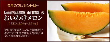 今月のプレゼントは山口農園・おいわけメロン