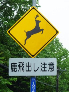 鹿飛び出し注意