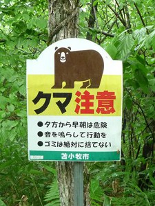 クマ注意