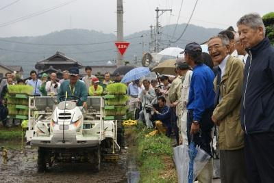 田植え風景
